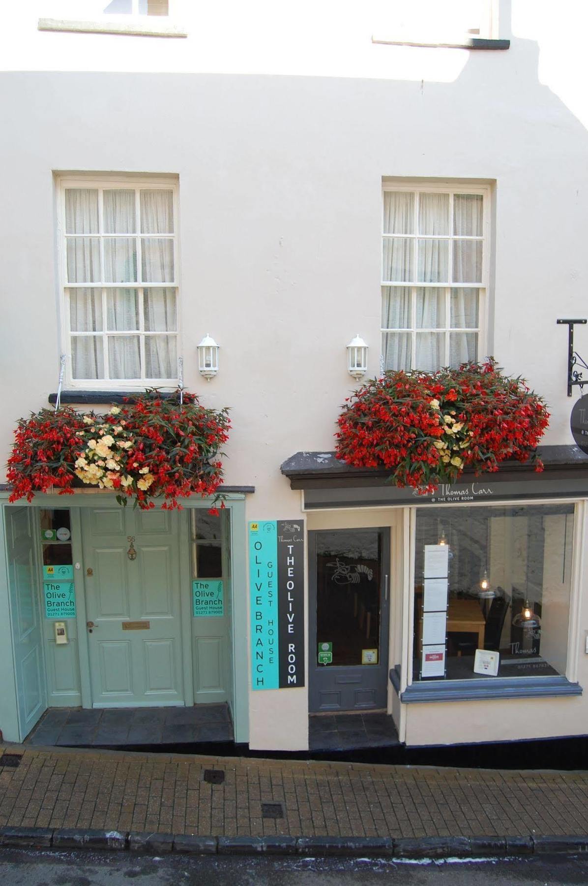 Bed and Breakfast The Olive Branch à Ilfracombe Extérieur photo